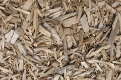 biomass boilers Tuttington
